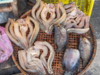 Fisch Angebot in einem Korb - Chau Doc - Vietnam